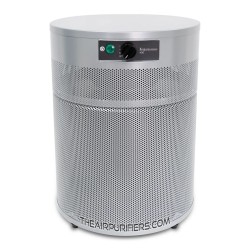AirPura T400 Cigarette and Tobacco Smoke Compact Air Purifier Silver