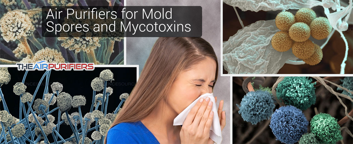 Air Purifiers for Mold Spore and Mycotoxins at TheAirPurifiers.com