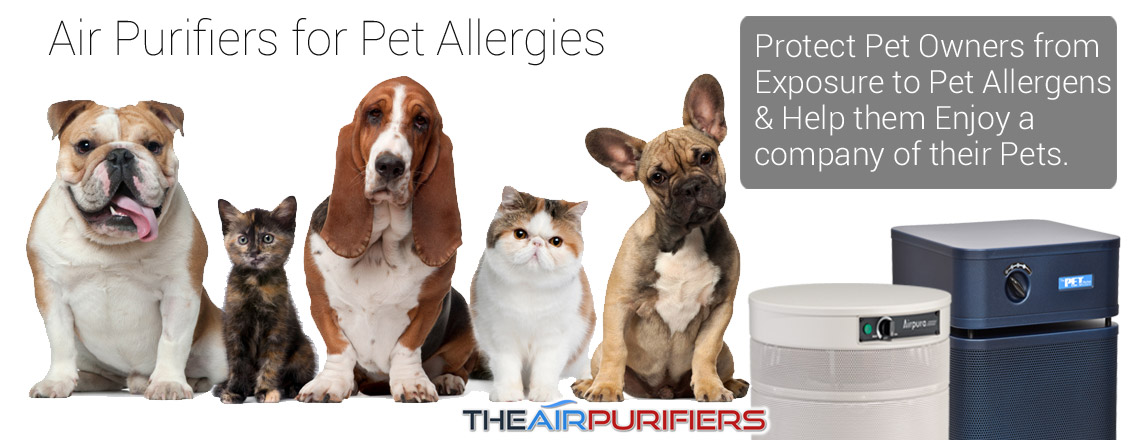 Air Purifiers for Pet Allergies at TheAirPurifiers.com