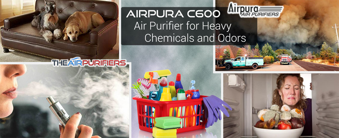 AirPura C600 Heavy Chemical and Odor Abatement Air Purifier at TheAirPurifiers.com