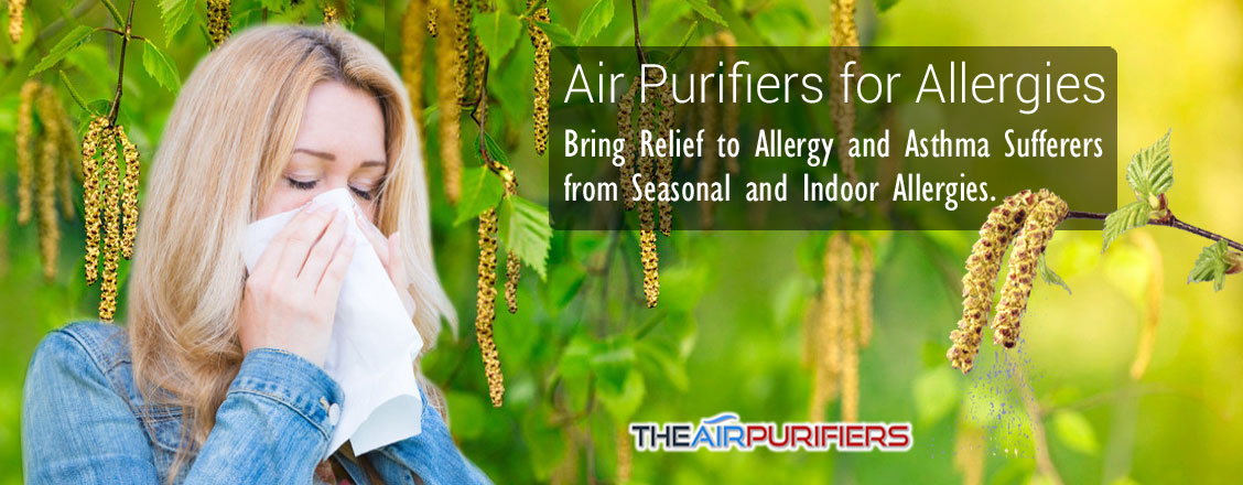 Air Purifiers for Allergies at TheAirPurifiers.com