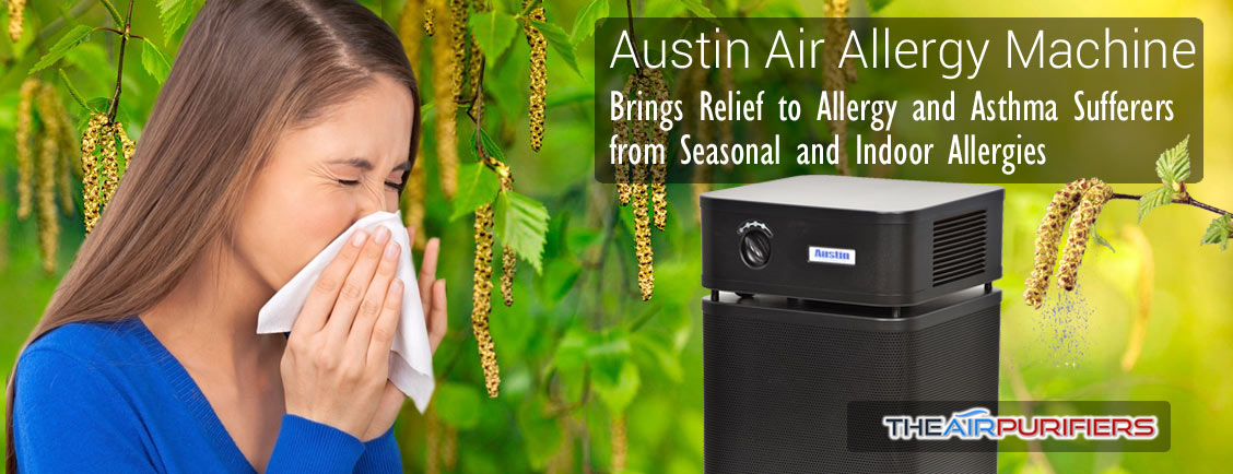 Austin Air Allergy Machine HM405 HEPA Air Purifier TheAirPurifiers.com